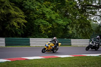 Lower Group Yellow Bikes